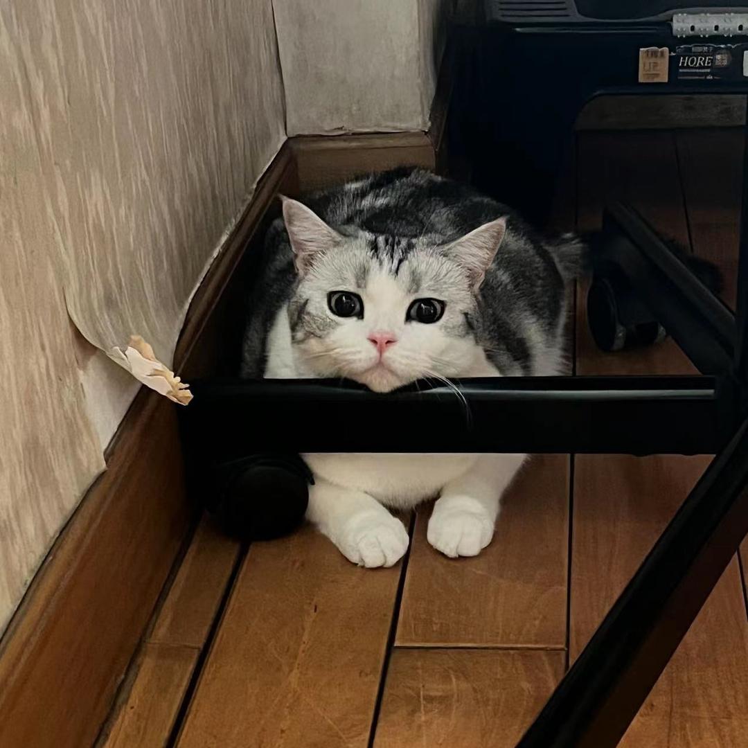 我是很纯洁