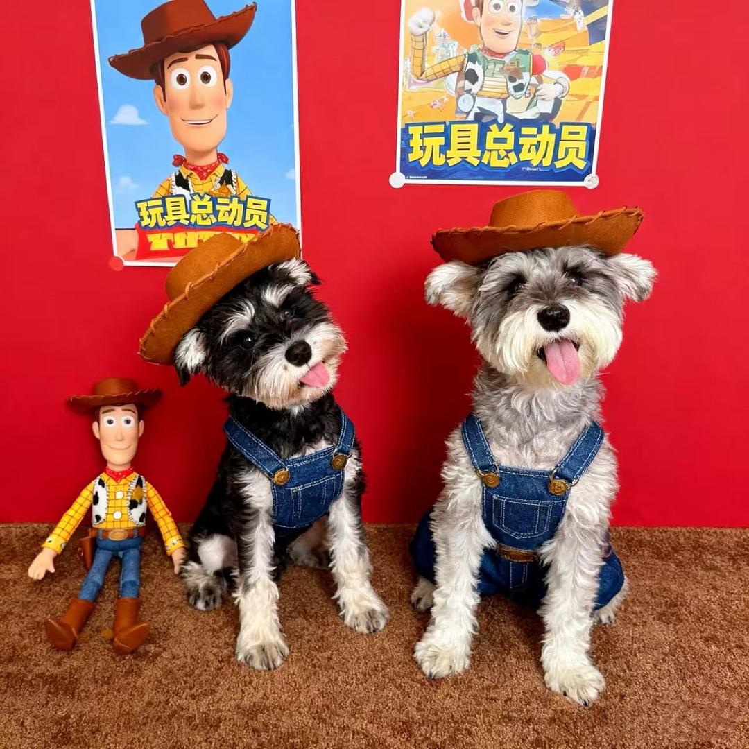 时来运转平安吉祥家人康健好运连连