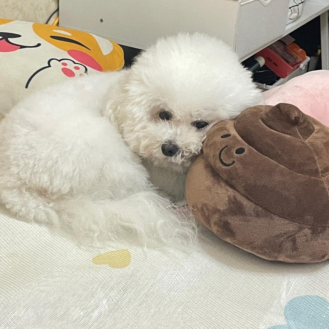 棉花的朋友圈