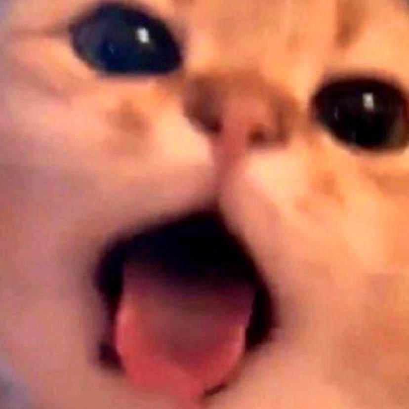nono.