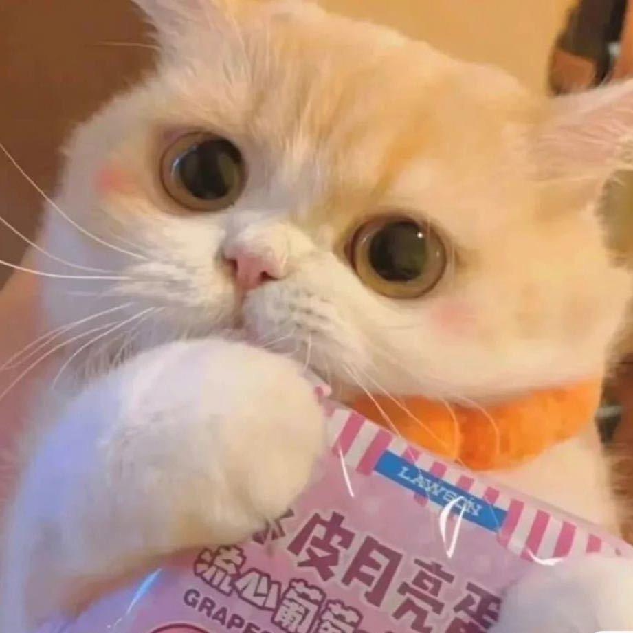 可爱小猪包（爱贝版）