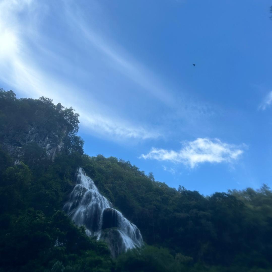 只为你疯狂