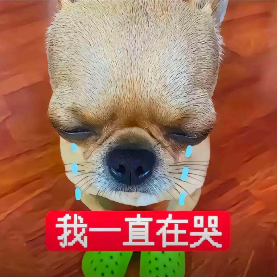阿梦meng