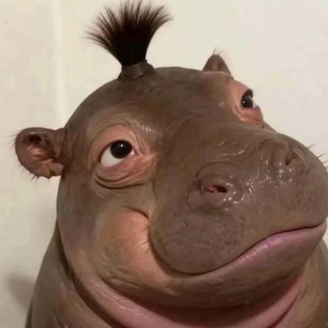 🍎仙女不讲李🍎🧧❤️❤️❤️