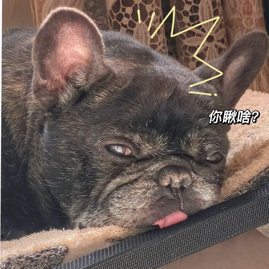 牛的诱惑