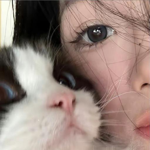 林黛玉的朋友圈