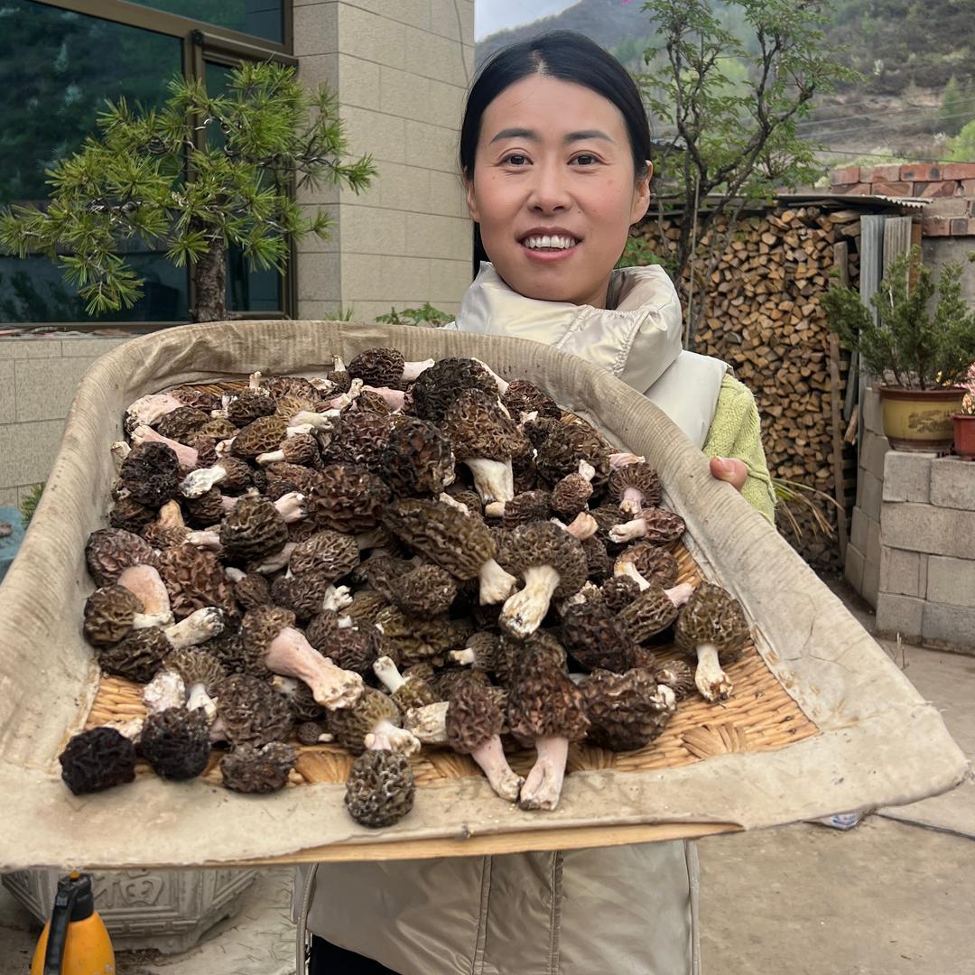 甘肃小田土特产