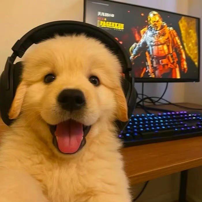 一个煎饼狗子🐶