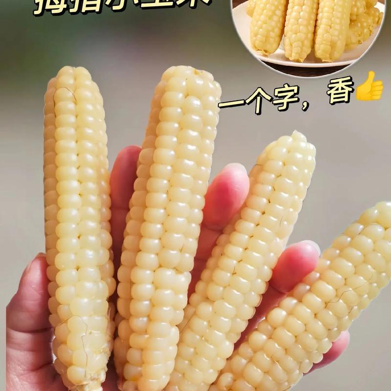 知味萃甄选果蔬店