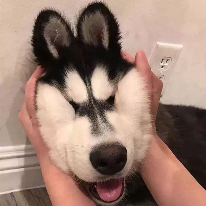 是章不是张的章老师