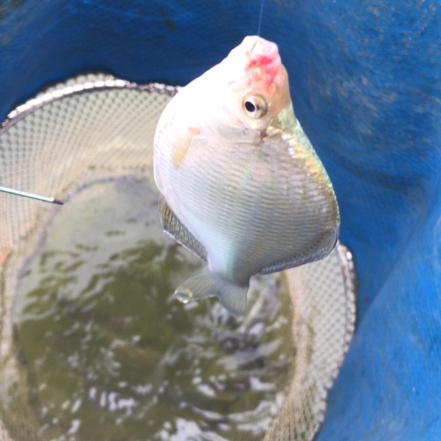 金寨三里井垂钓服务有限公司