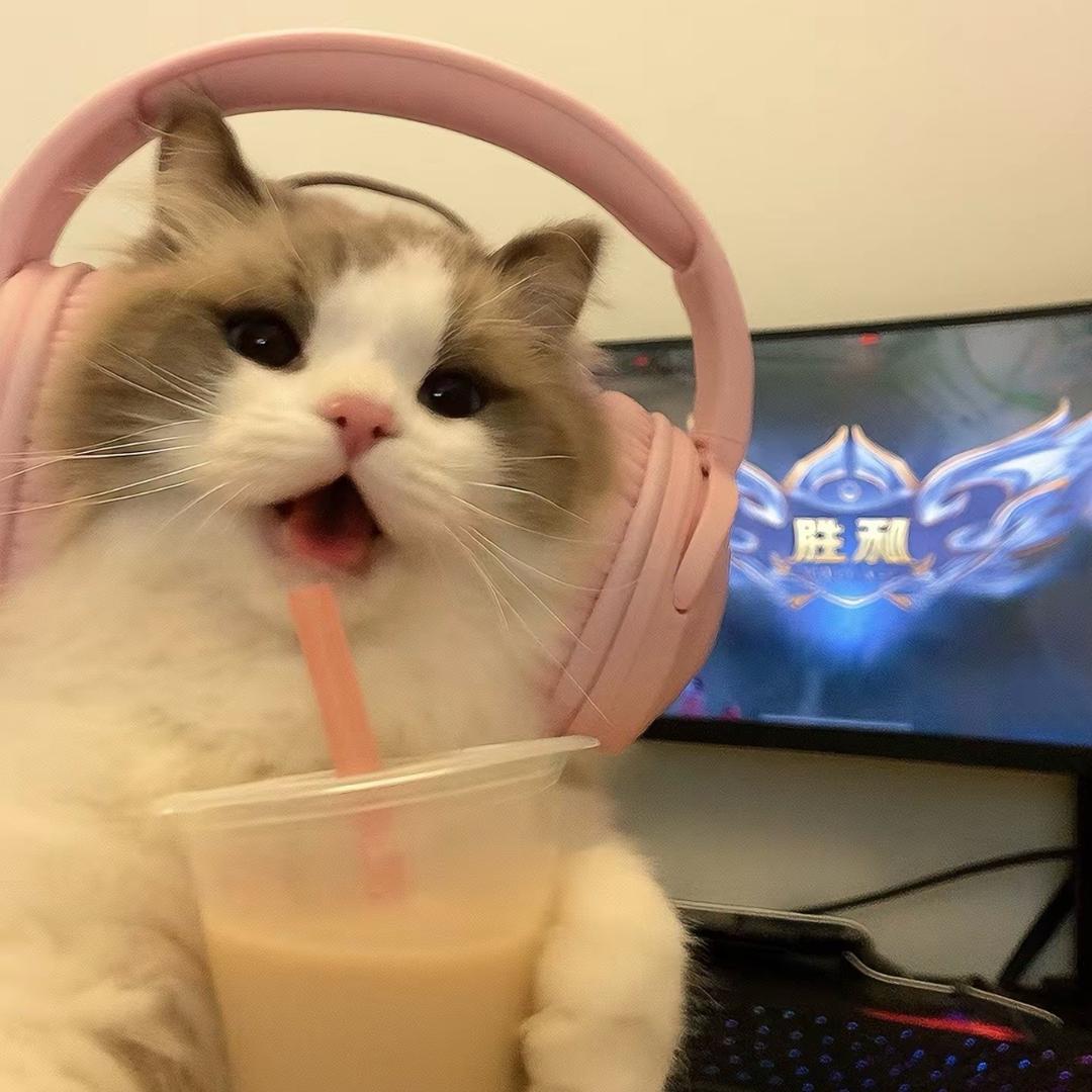 牛咩咩^