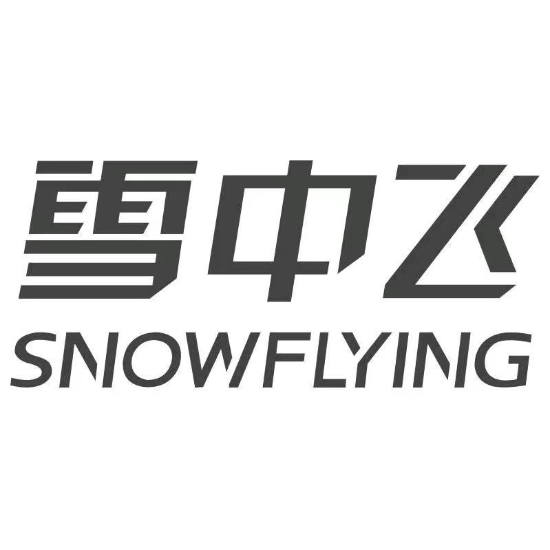 雪中飞男装奥莱旗舰店