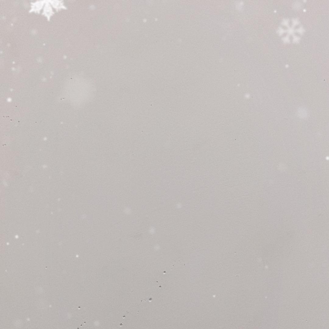 风知意