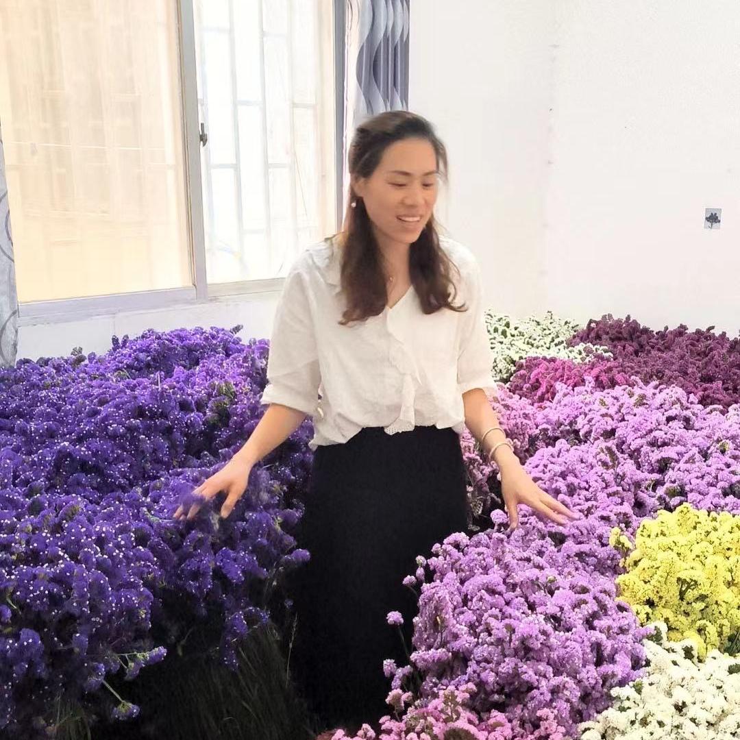 云南花卉集市直供