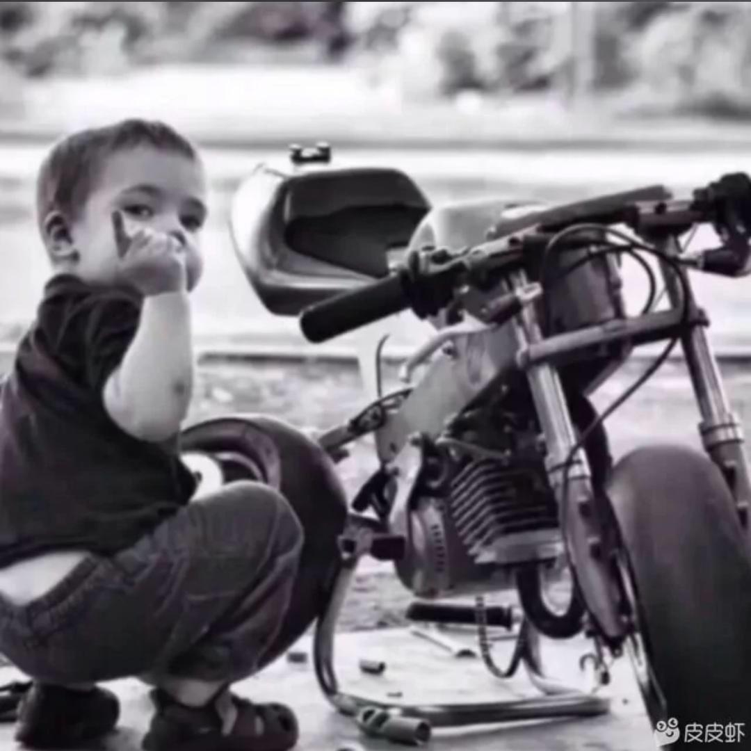 ㅤFreedom