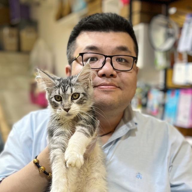 胖老板的猫舍
