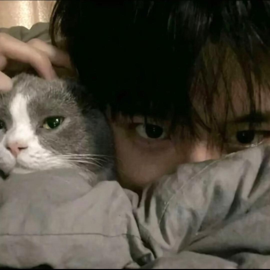 我也不知道叫什么就随便这样吧