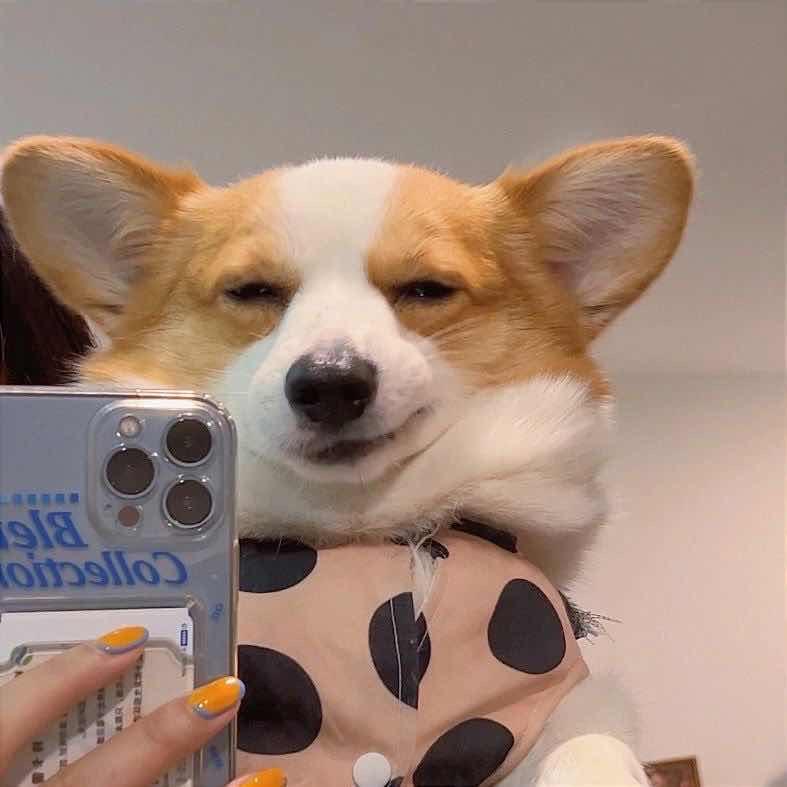 聒噪