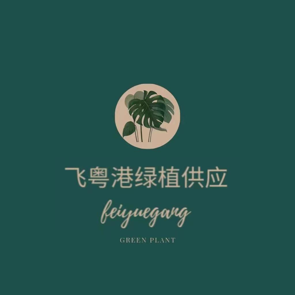 飞粤港绿植供应链