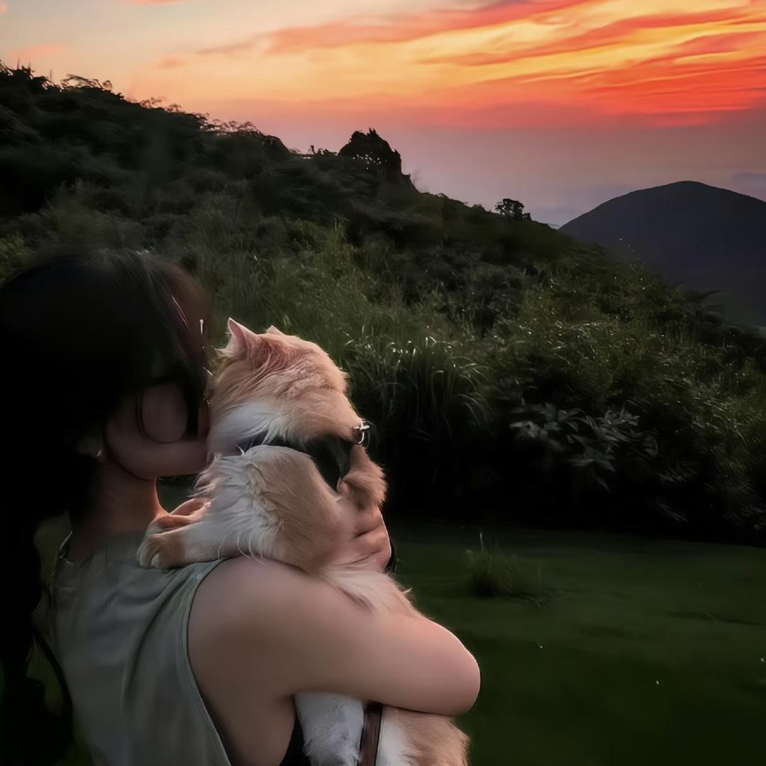 国家不保护废物