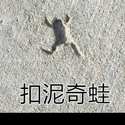 少长点头皮屑