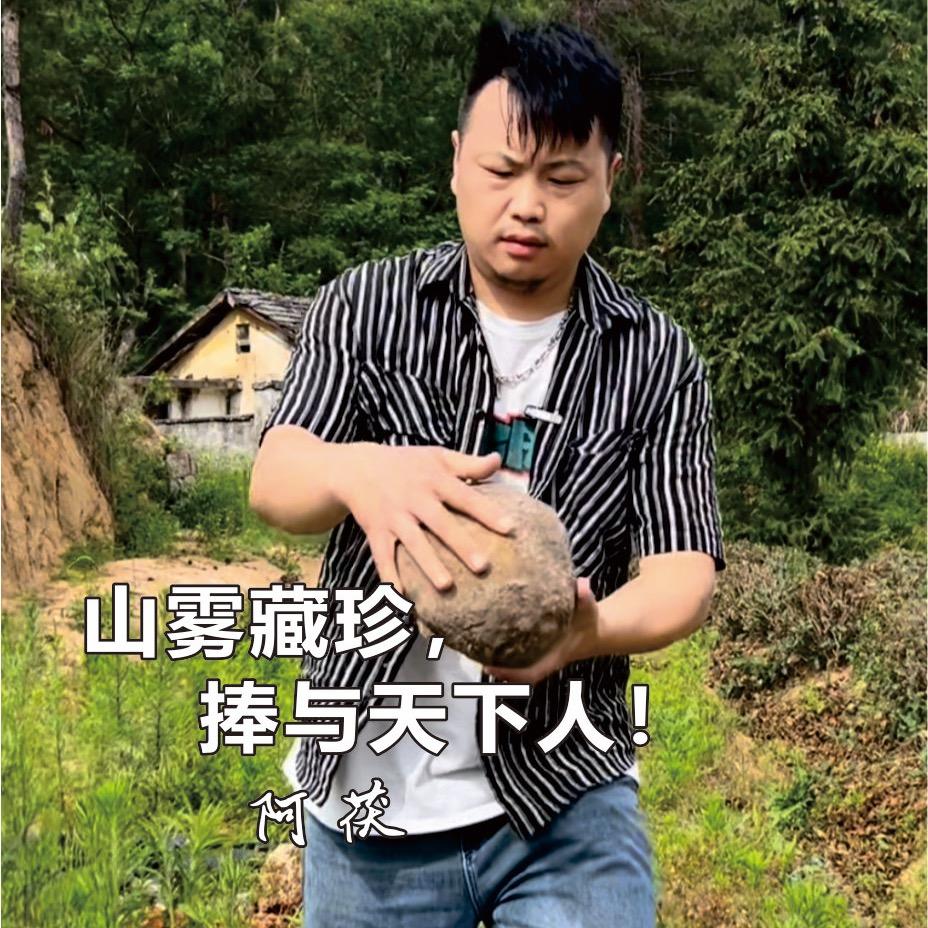 阿茯岳西茯苓（茯苓门)