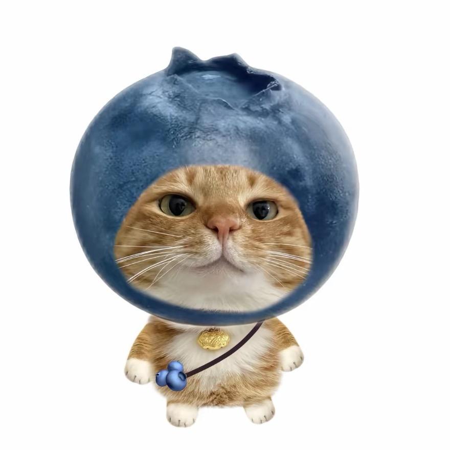 ⊙