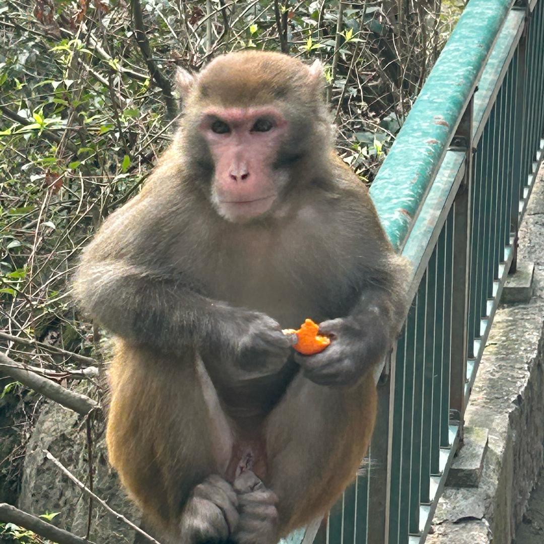 热美式☕️☕️