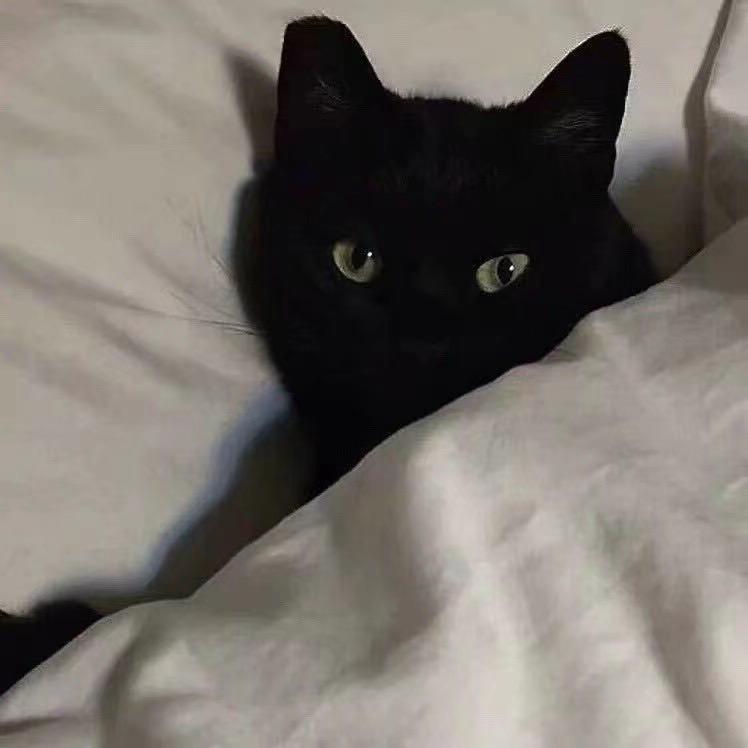 为人民服务的小李