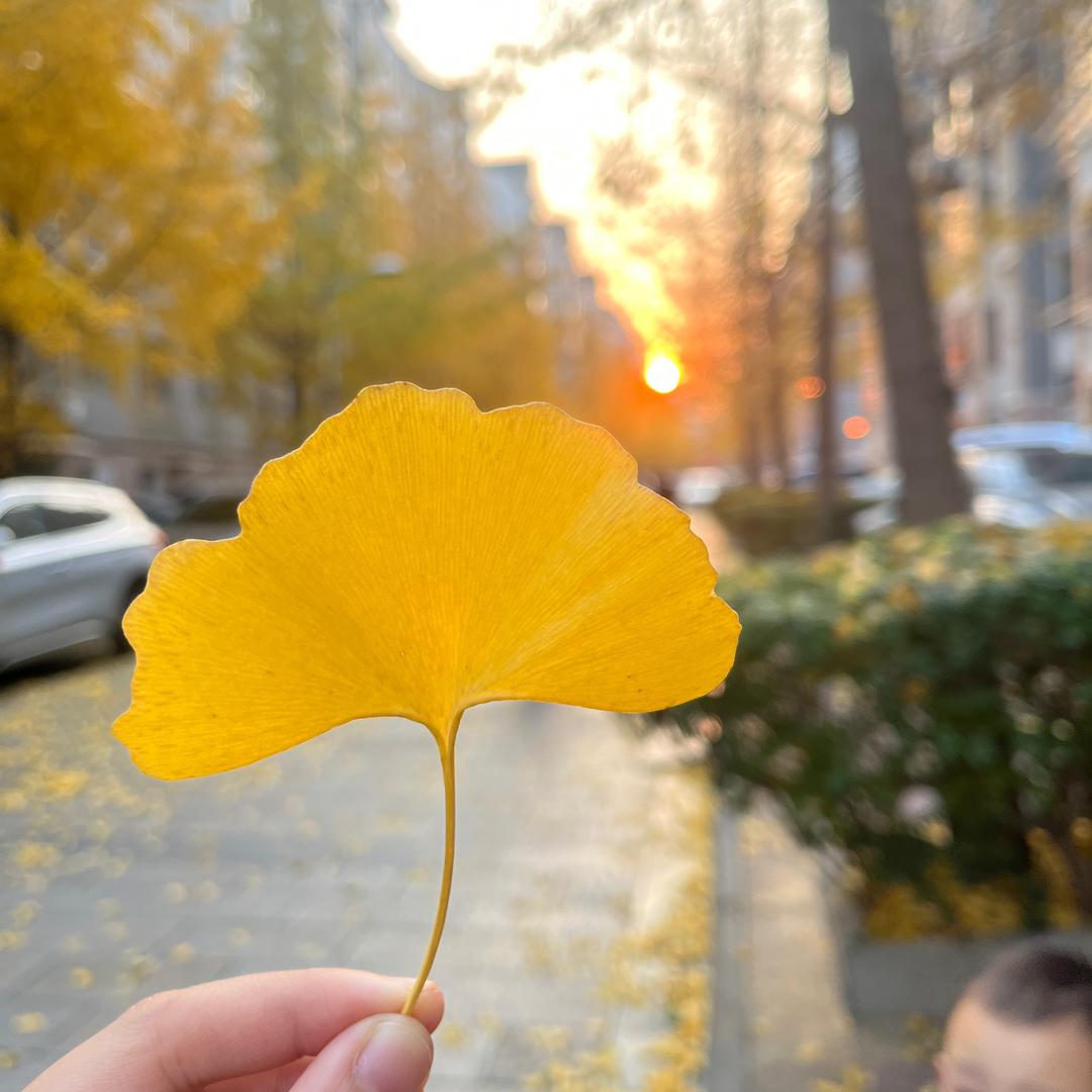 一味