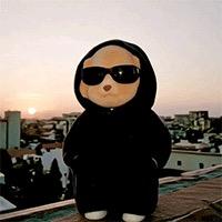 胖虎差价二手车