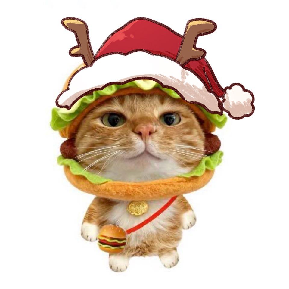 一口美味🦀️煲