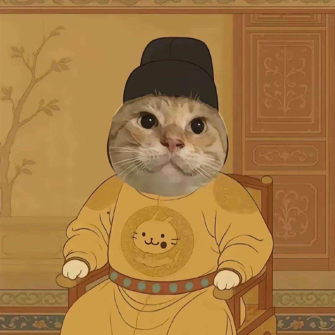 我不是来这旅游的