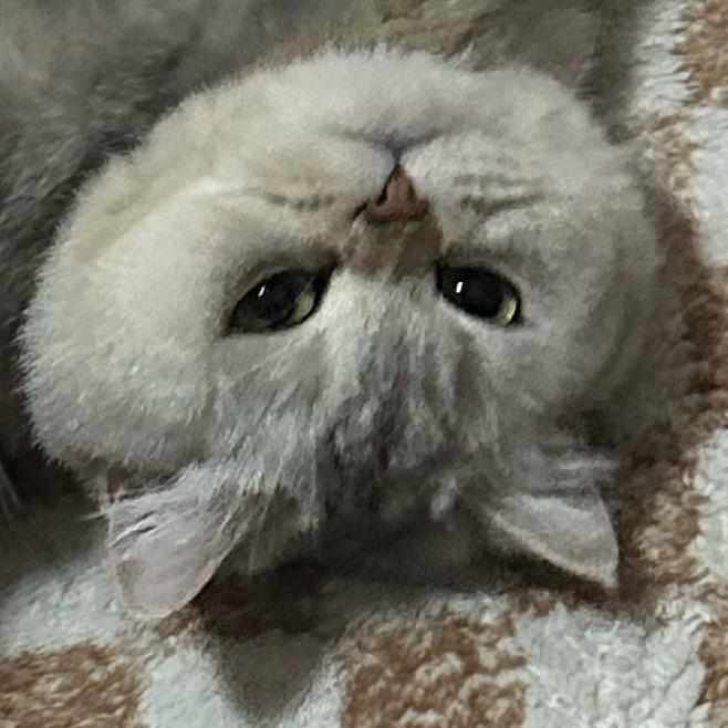 仓颉