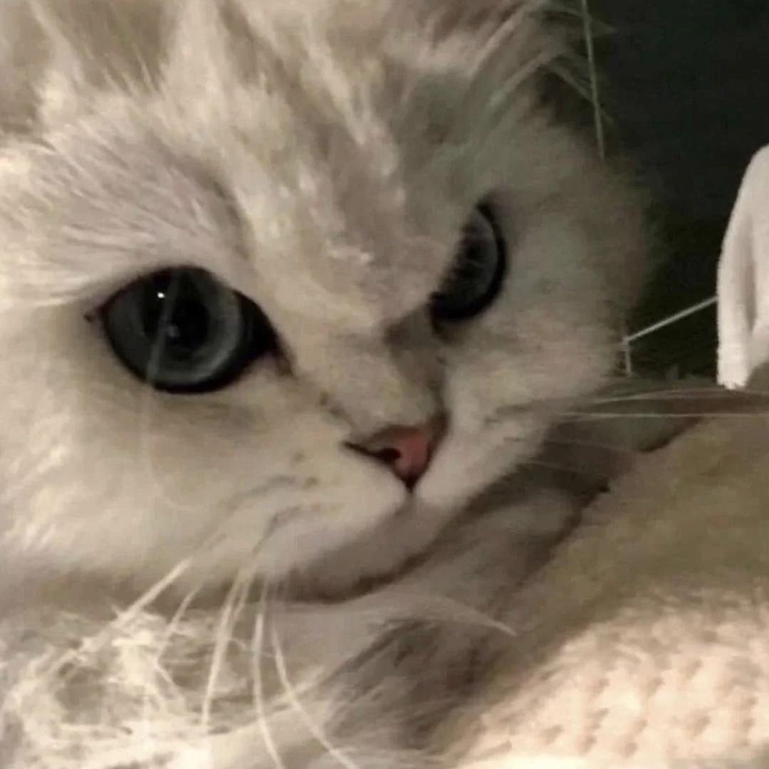 小陈睡不醒