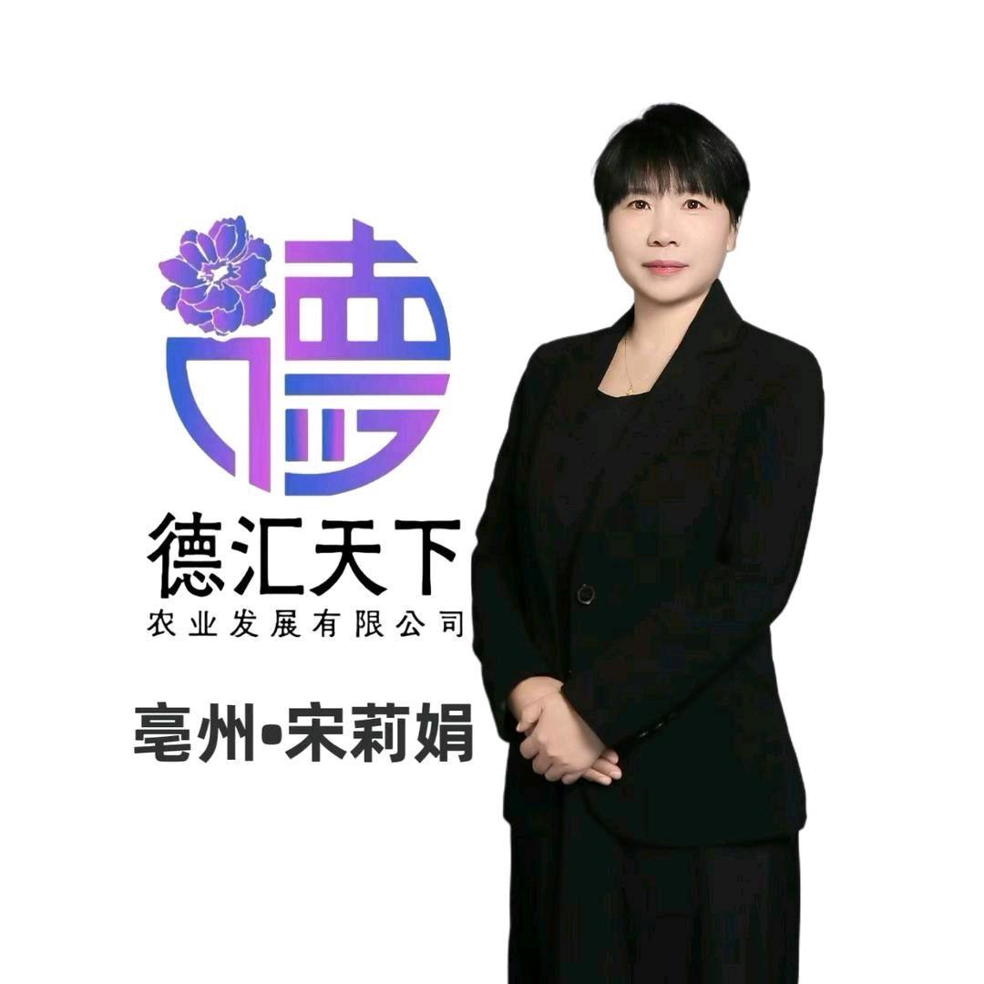 亳州 ～宋莉娟德汇天下