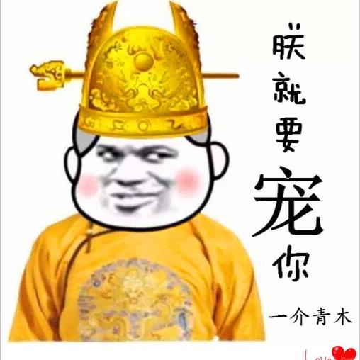 国际张杨宝宝