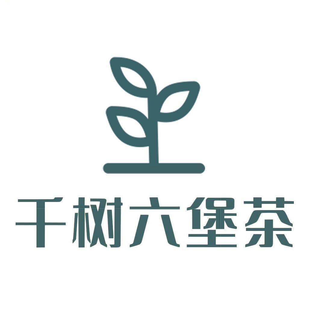 千树六堡茶