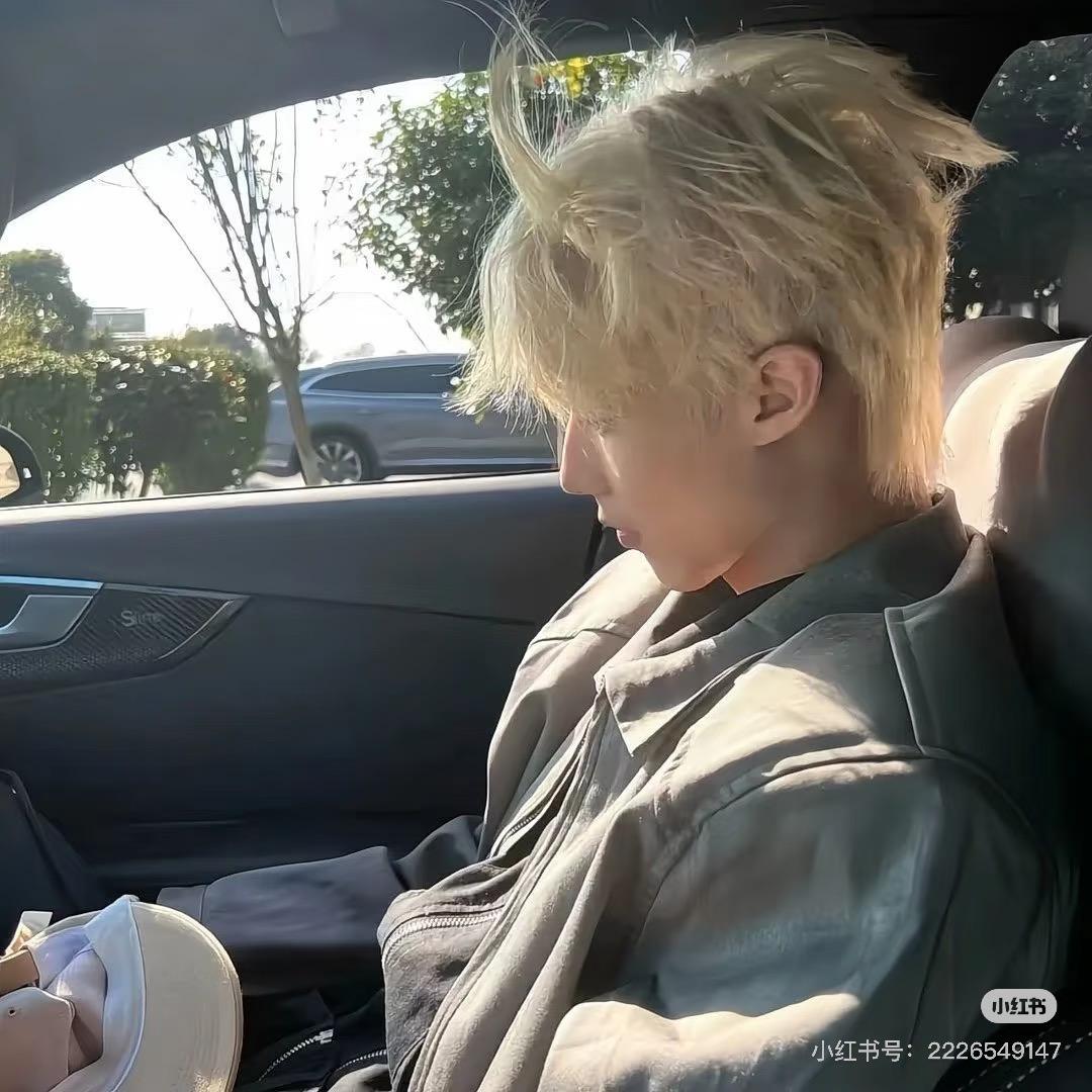 不吃苦瓜
