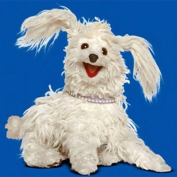 萨耶耶不是萨椰椰