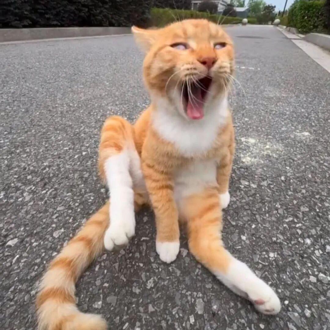 六月
