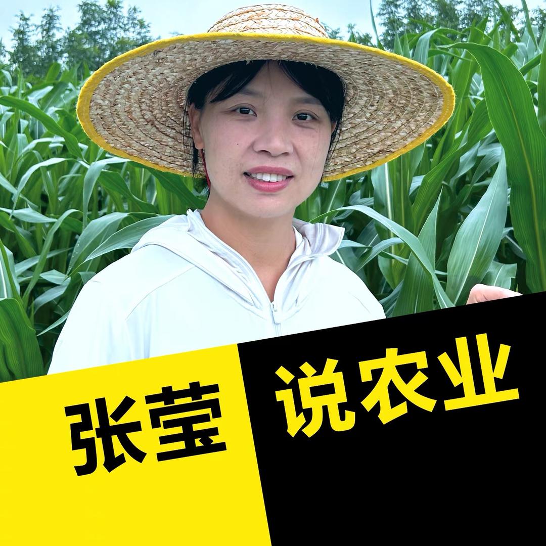 张莹说农业