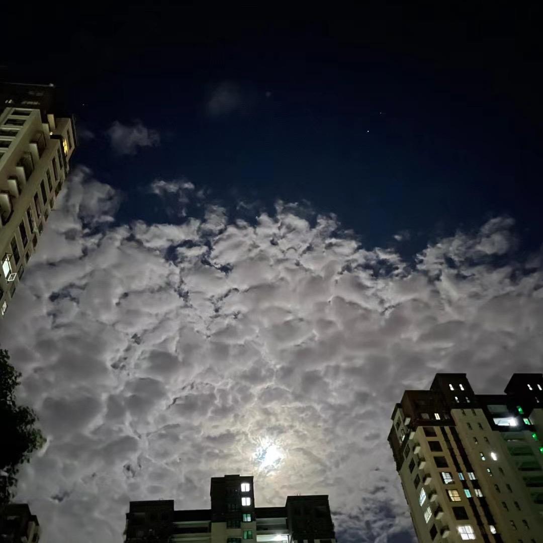 许可证