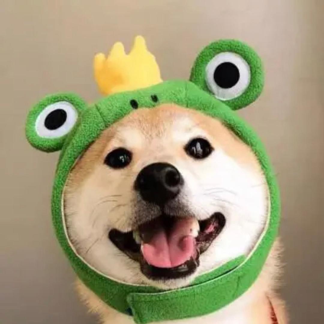 南懂王热游