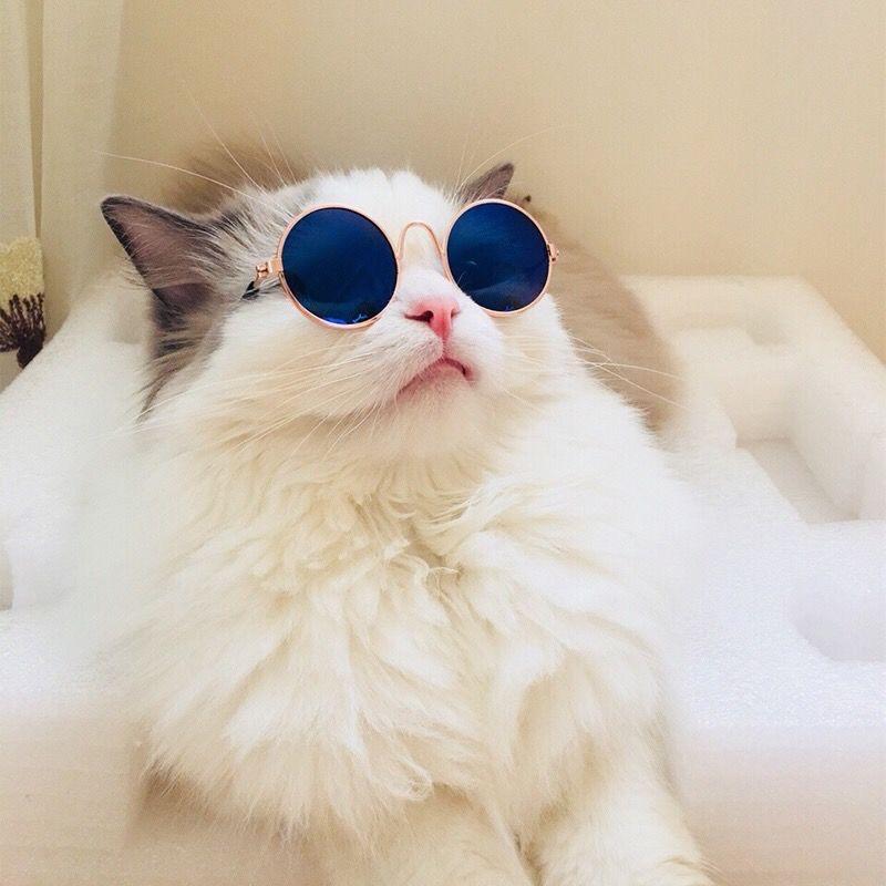 ✨兵哥✨