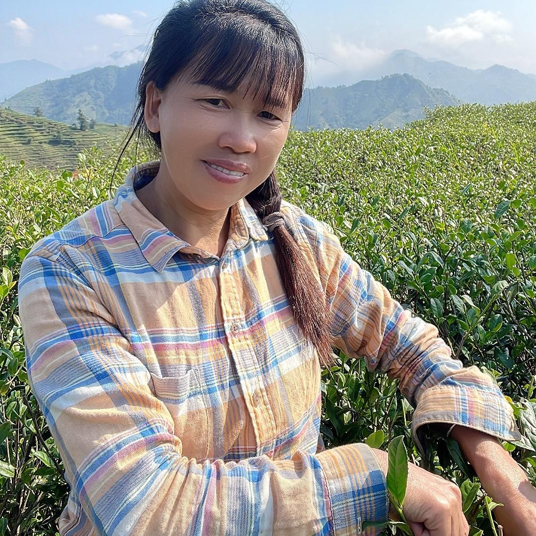 感德茶农（吴小玲）