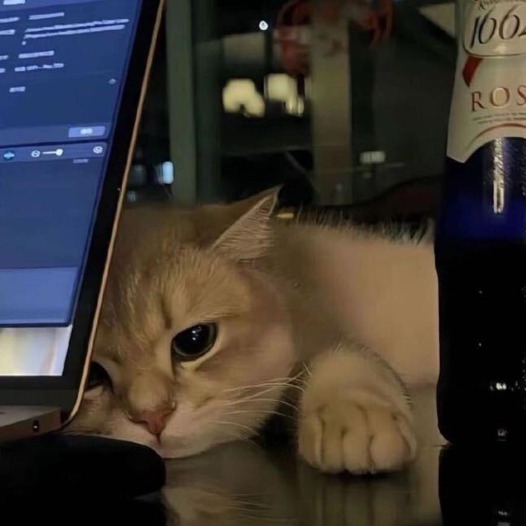 小笨蛋若若