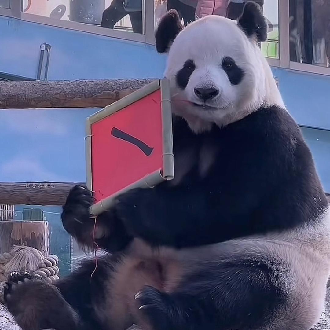 飞云炸乌云☁️