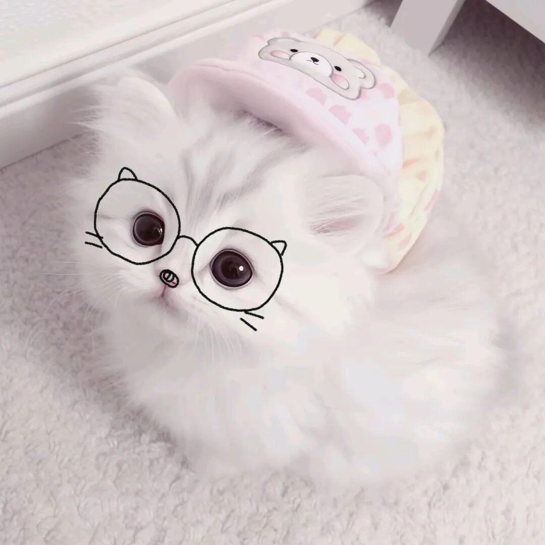 西里可可
